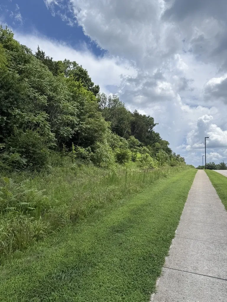 0 Liberty Pike Franklin TN 37067
