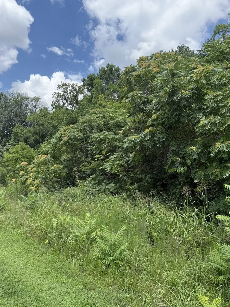 0 Liberty Pike Franklin TN 37067