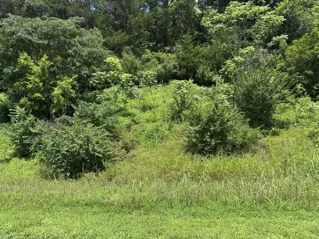 0 Liberty Pike Franklin TN 37067