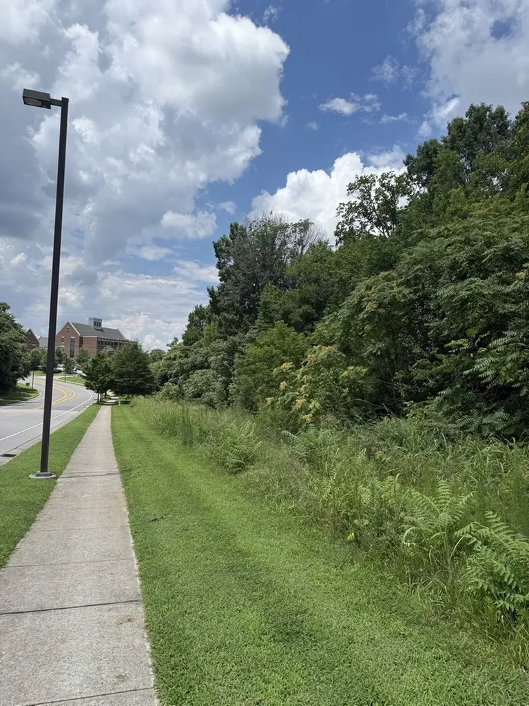 0 Liberty Pike Franklin TN 37067
