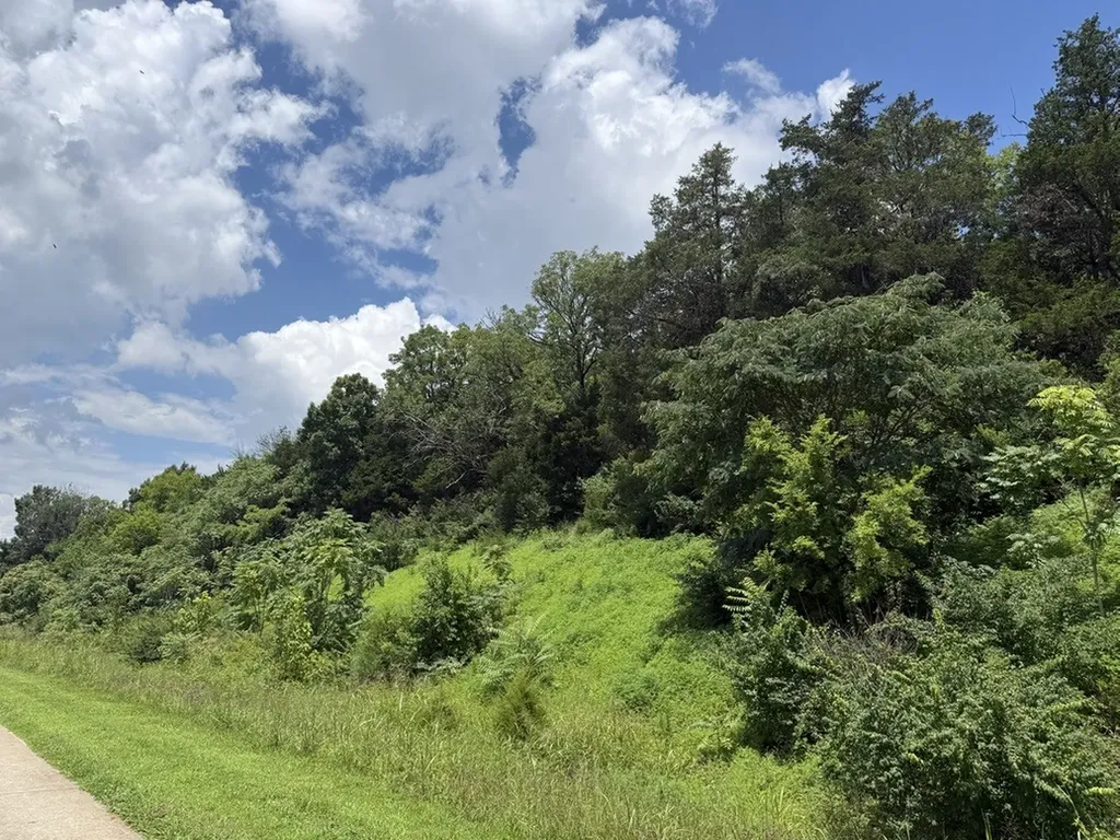 0 Liberty Pike Franklin TN 37067
