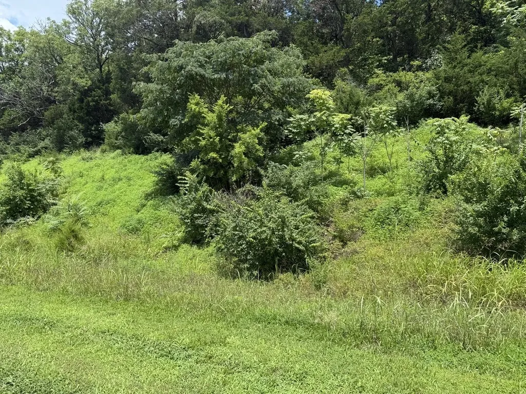 0 Liberty Pike Franklin TN 37067