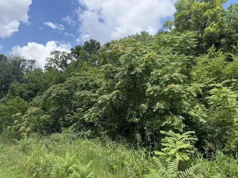 0 Liberty Pike Franklin TN 37067