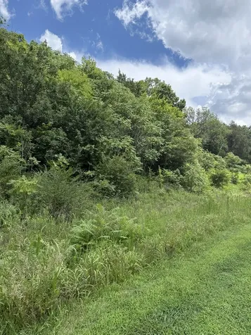 0 Liberty Pike Franklin TN 37067