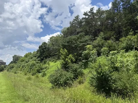 0 Liberty Pike Franklin TN 37067