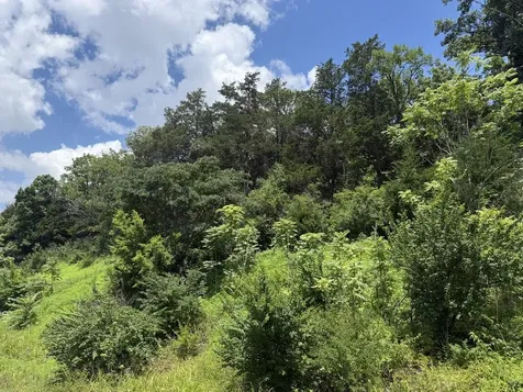 0 Liberty Pike Franklin TN 37067