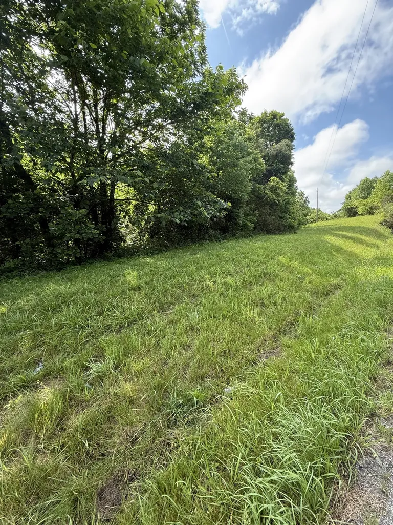 0 Highway 31, E Westmoreland TN 37186