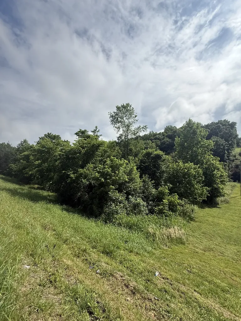 0 Highway 31 E Westmoreland TN 37186