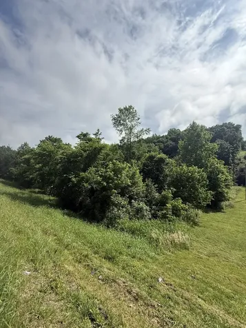 0 Highway 31 E Westmoreland TN 37186