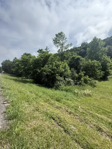 0 Highway 31 E Westmoreland TN 37186