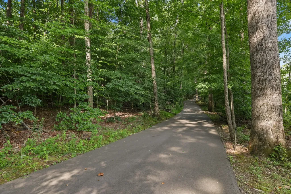 333 Brook Avenue White House TN 37188