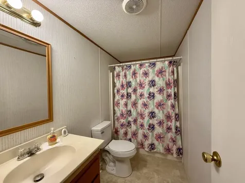 10019 Carlas Cove Lyles TN 37098