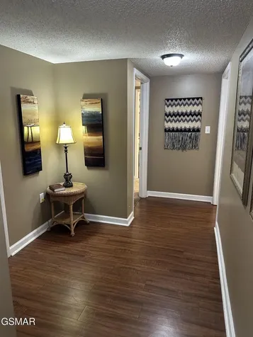 205 Ogle Drive Pigeon Forge TN 37863
