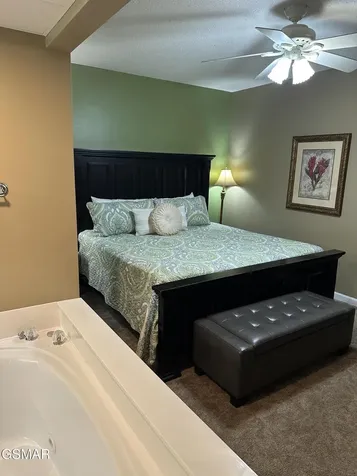 205 Ogle Drive Pigeon Forge TN 37863