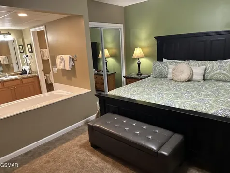 205 Ogle Drive Pigeon Forge TN 37863