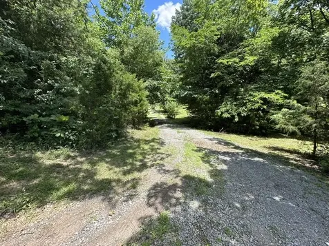 17 Wilkins Lane Greenville KY 42345