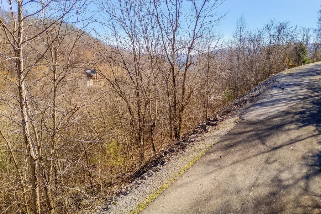 83 Waterwalk Court Smithville TN 37166