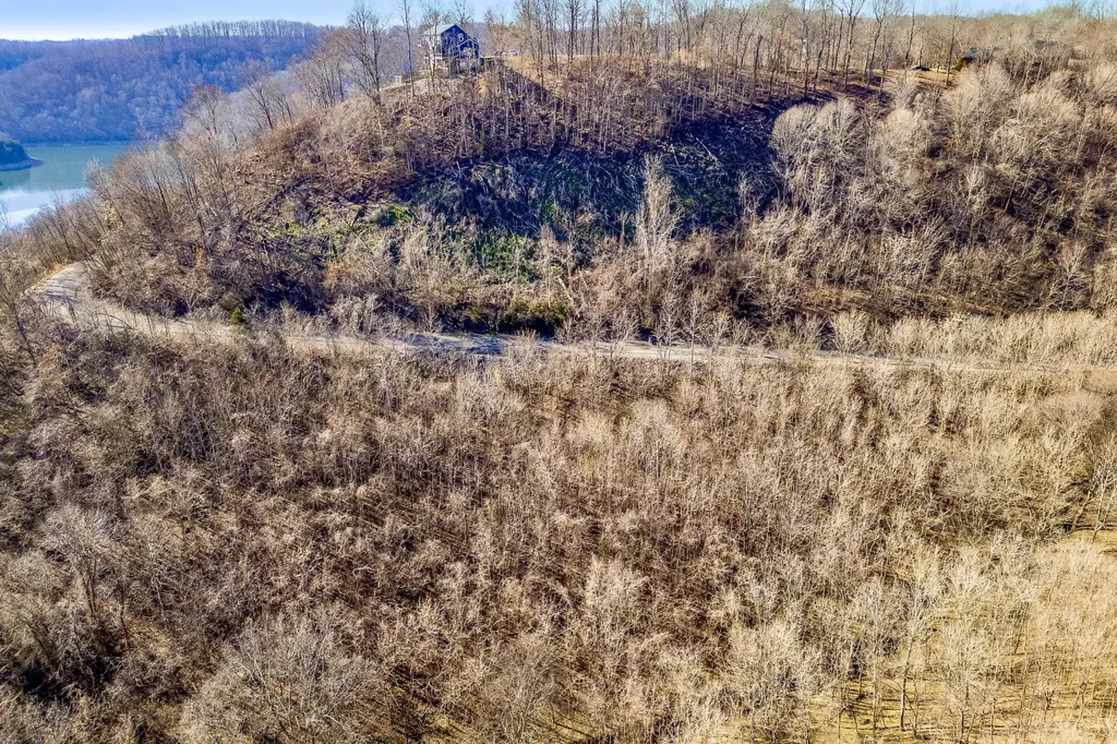 83 Waterwalk Court Smithville TN 37166