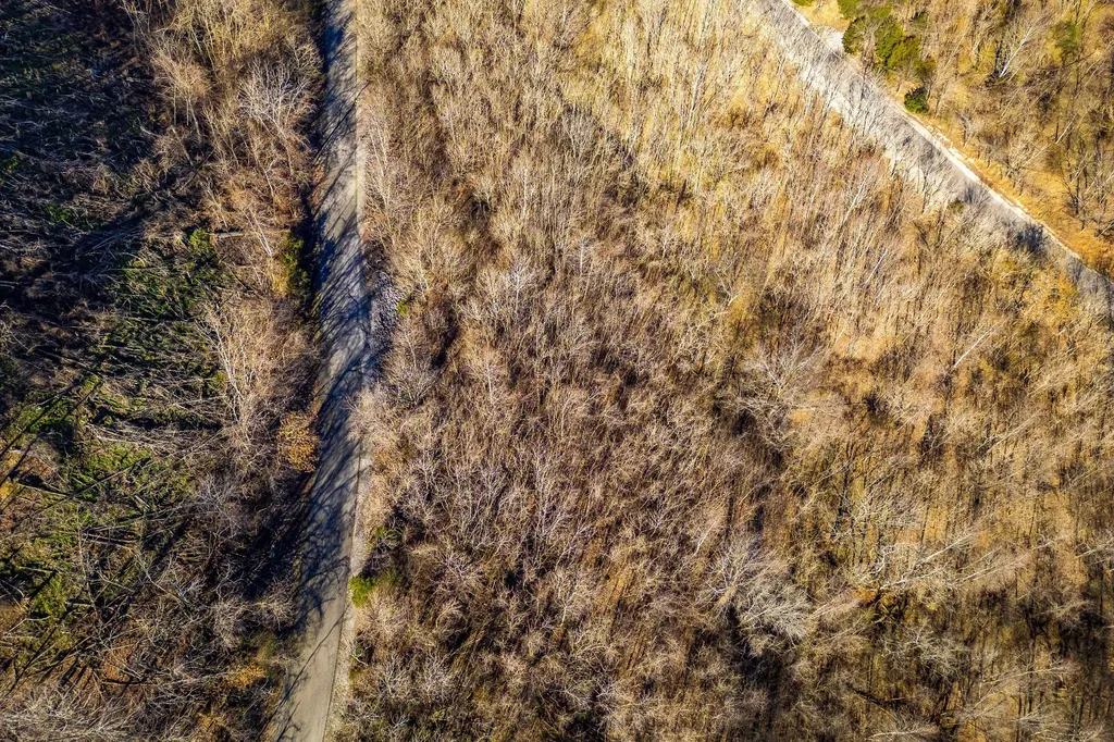 83 Waterwalk Court Smithville TN 37166
