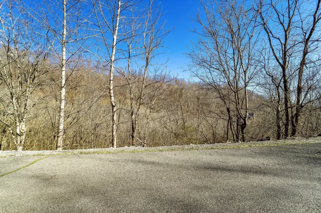 83 Waterwalk Court Smithville TN 37166