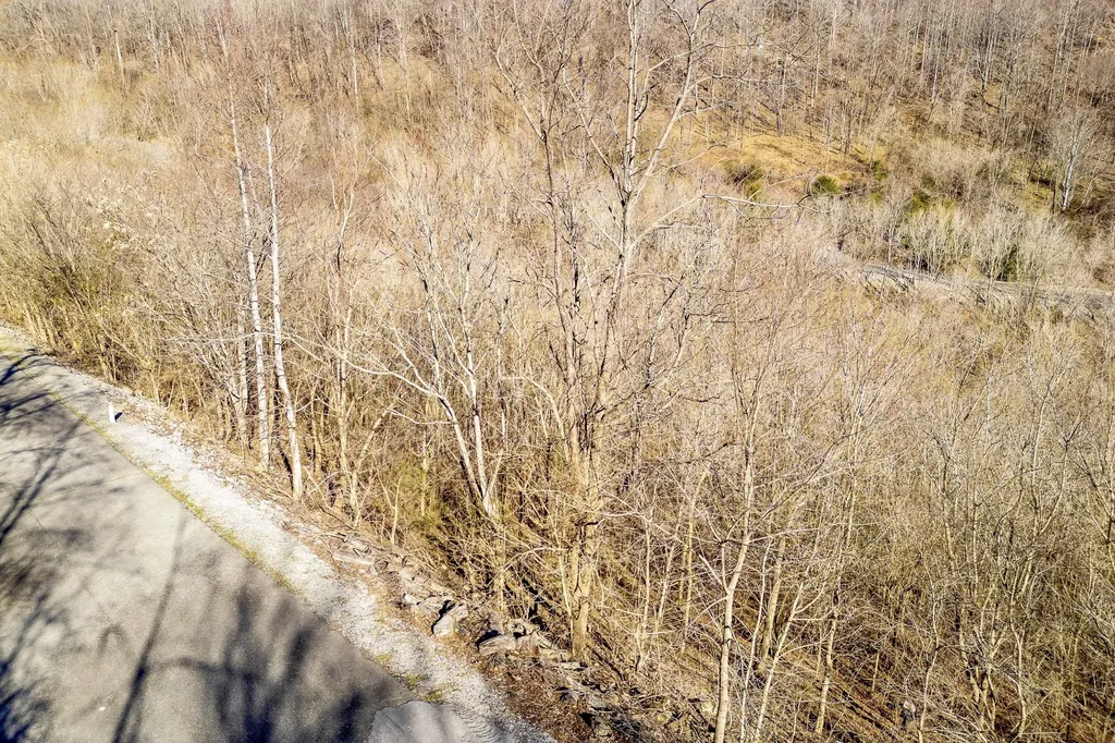 83 Waterwalk Court Smithville TN 37166