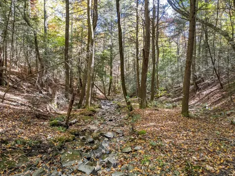 2424 Corral Road Signal Mountain TN 37377