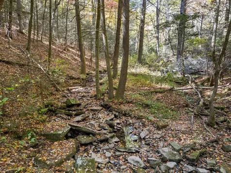 2424 Corral Road Signal Mountain TN 37377