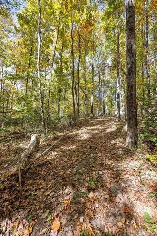 2424 Corral Road Signal Mountain TN 37377