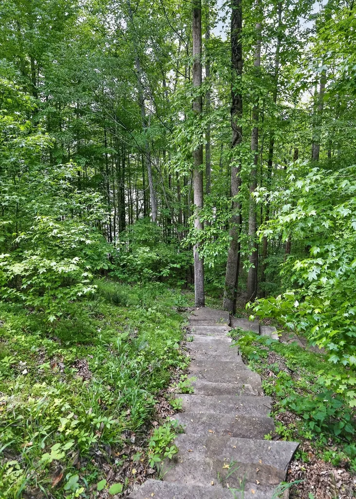 2304 Backbone Sparta TN 38583