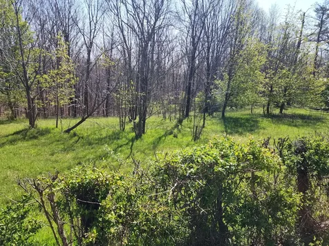 0 Davis Hollow Road Franklin TN 37064