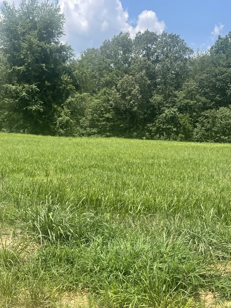 0 Summer Lake Winchester TN 37398