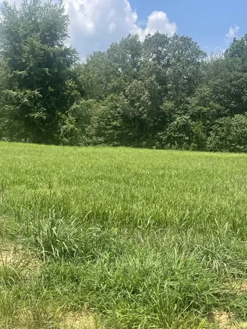 0 Summer Lake Winchester TN 37398