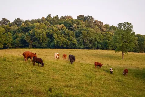 2405 Thompson Road Lewisburg TN 37091
