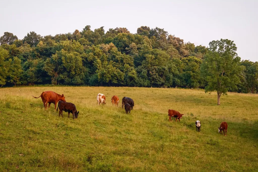 2405 Thompson Road Lewisburg TN 37091