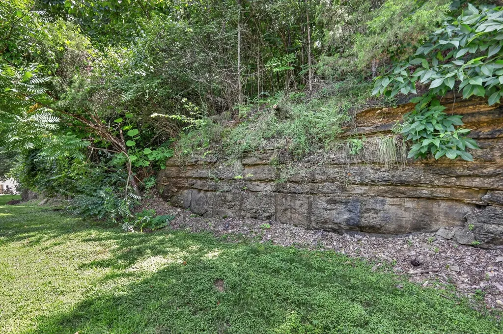1071 Woodbury Falls Drive Nashville TN 37221