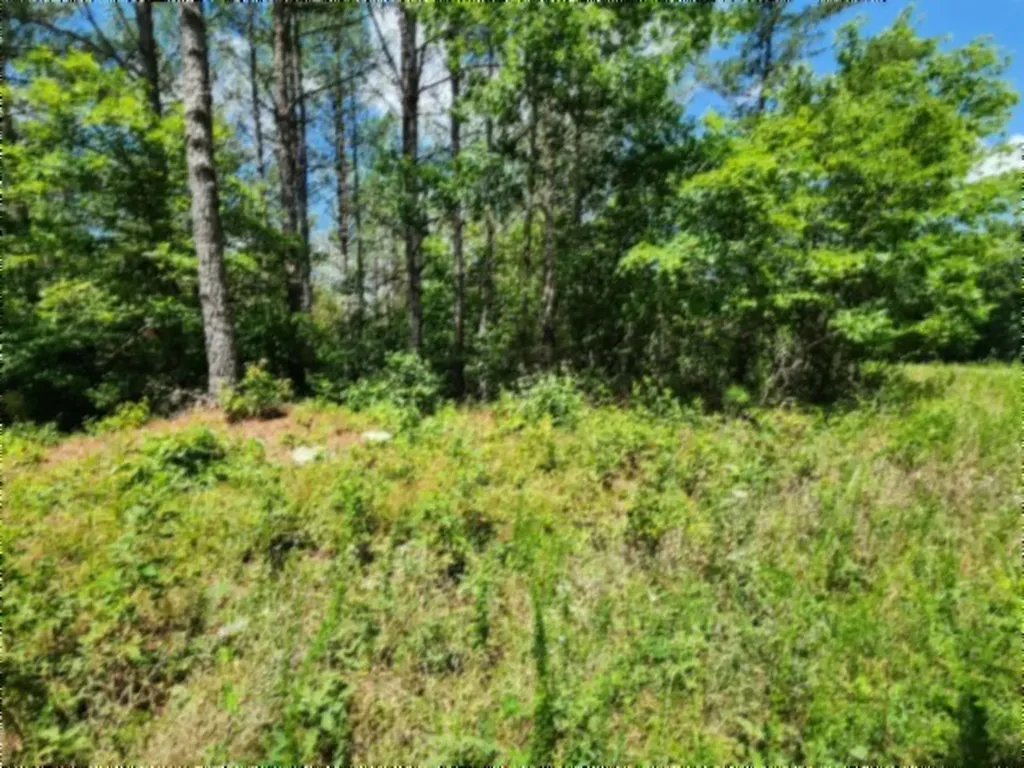 674 Rhodas Way Sunbright TN 37872