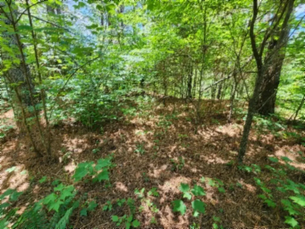 674 Rhodas Way Sunbright TN 37872