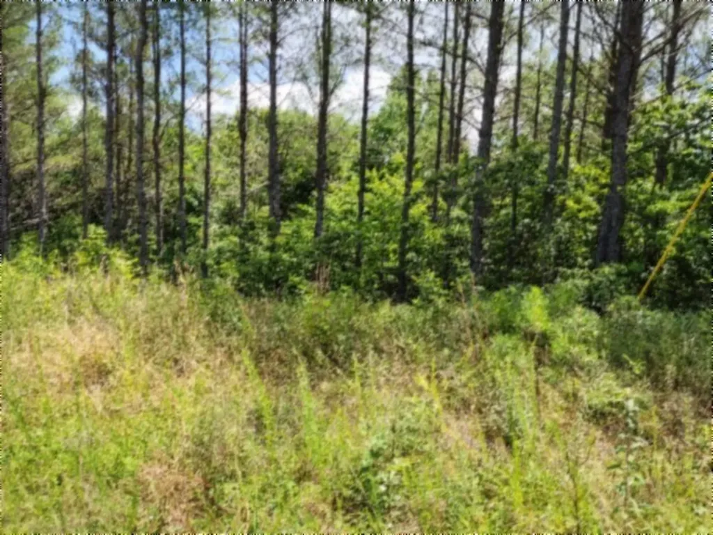 674 Rhodas Way Sunbright TN 37872