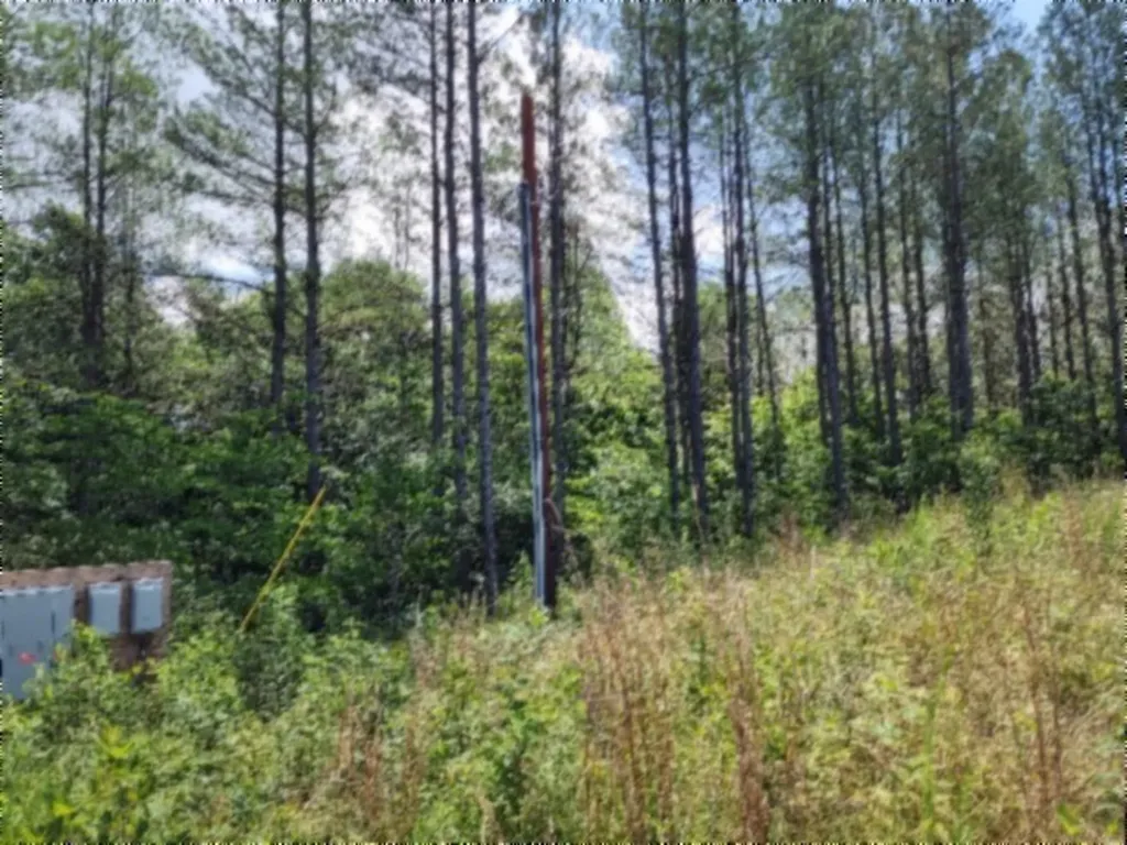 674 Rhodas Way Sunbright TN 37872