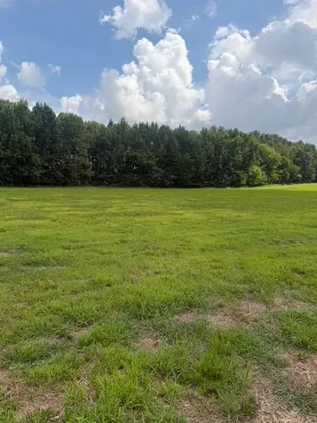 0 Friendship Road Cross Plains TN 37049