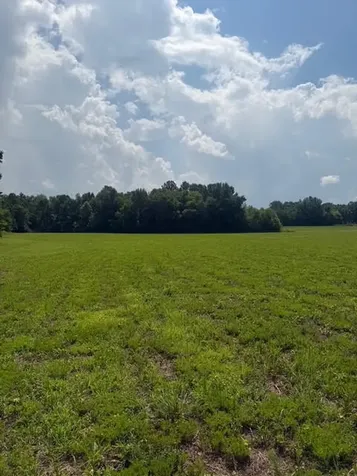 0 Friendship Road Cross Plains TN 37049
