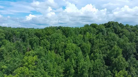 5719 Minor Hill Highway Goodspring TN 38460