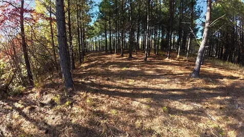 191 Vista Drive Linden TN 37096