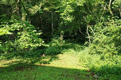 3034 Tomahawk Circle, NW Cleveland TN 37312