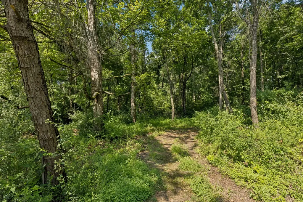 9062 E 40 Road Bon Aqua TN 37025