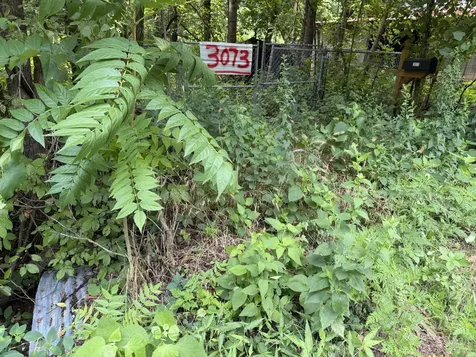3073 Fly Road Santa Fe TN 38482