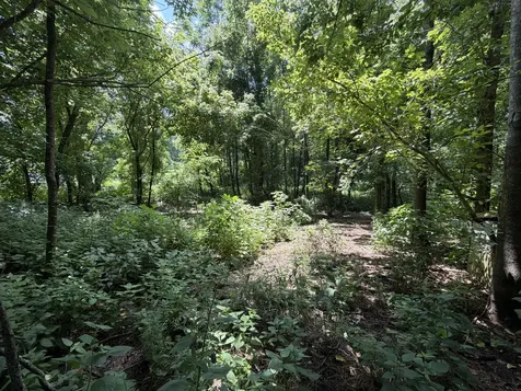 3073 Fly Road Santa Fe TN 38482