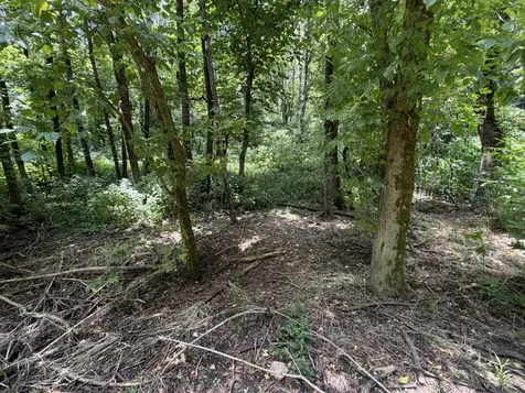3073 Fly Road Santa Fe TN 38482