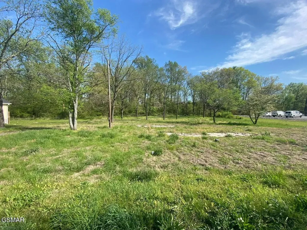 459 W Main Street Smithville TN 37166