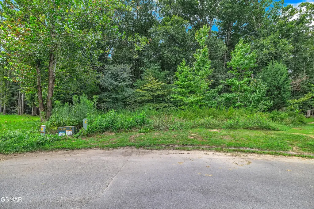 11 Stokley Court Dandridge TN 37725